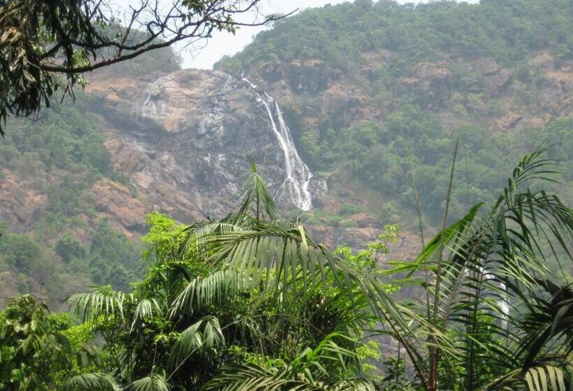 Dudhsagar Plantation