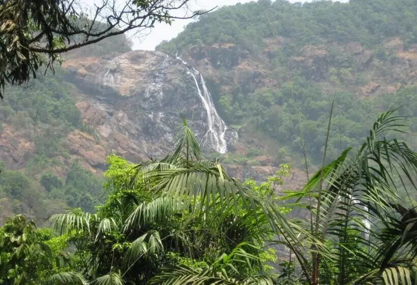Dudhsagar Plantation