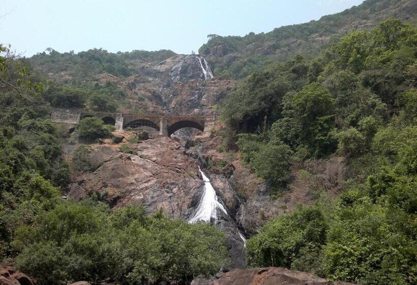 Dudhsagar Plantation