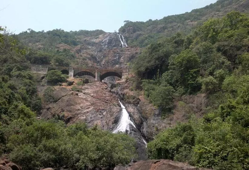 Dudhsagar Plantation
