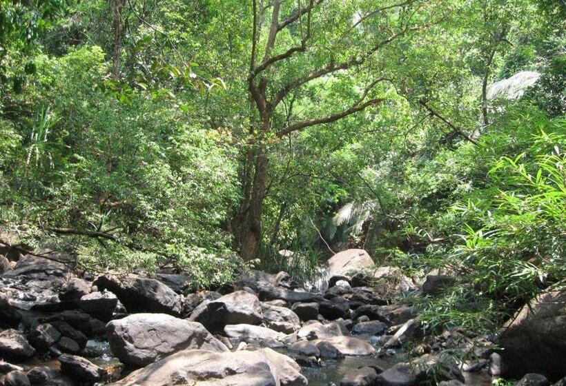 Dudhsagar Plantation