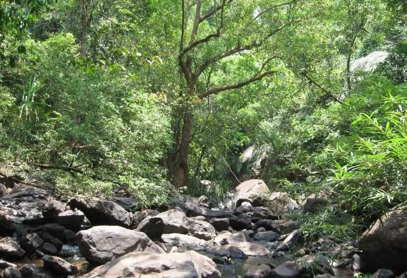 Dudhsagar Plantation