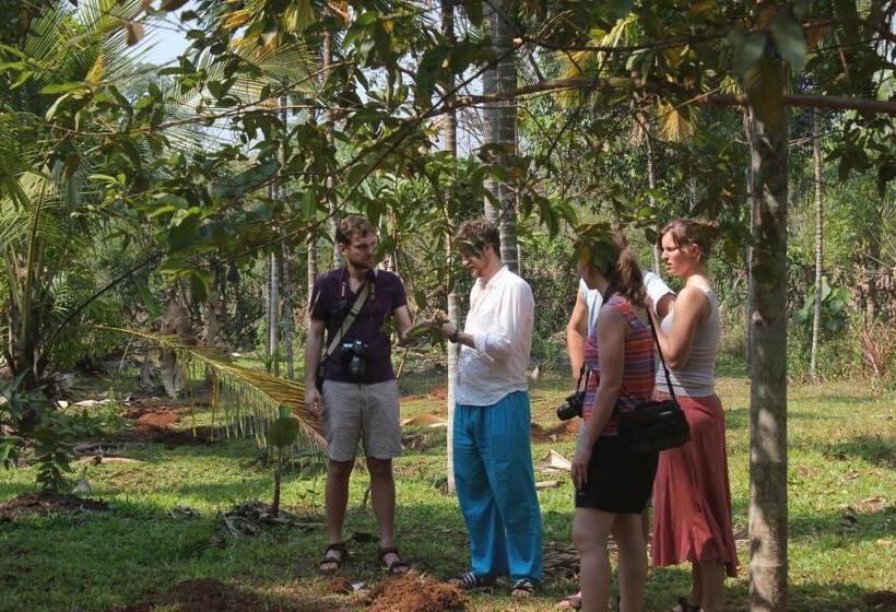 Dudhsagar Plantation