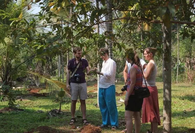 Dudhsagar Plantation