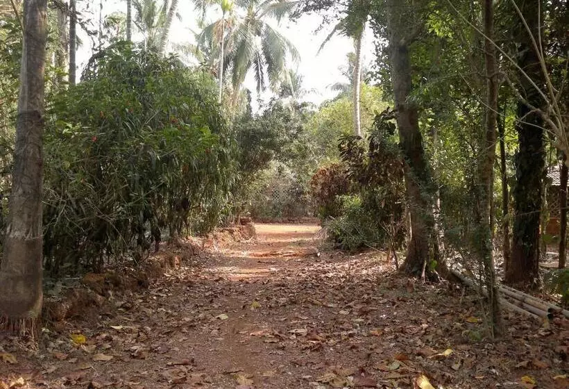 Dudhsagar Plantation