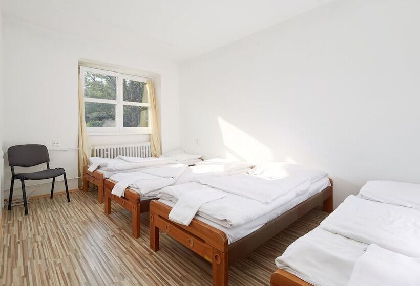 בית מלון כפרי Medlov Depandance