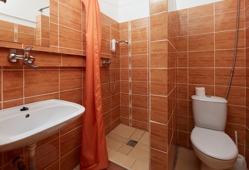 בית מלון כפרי Medlov Depandance