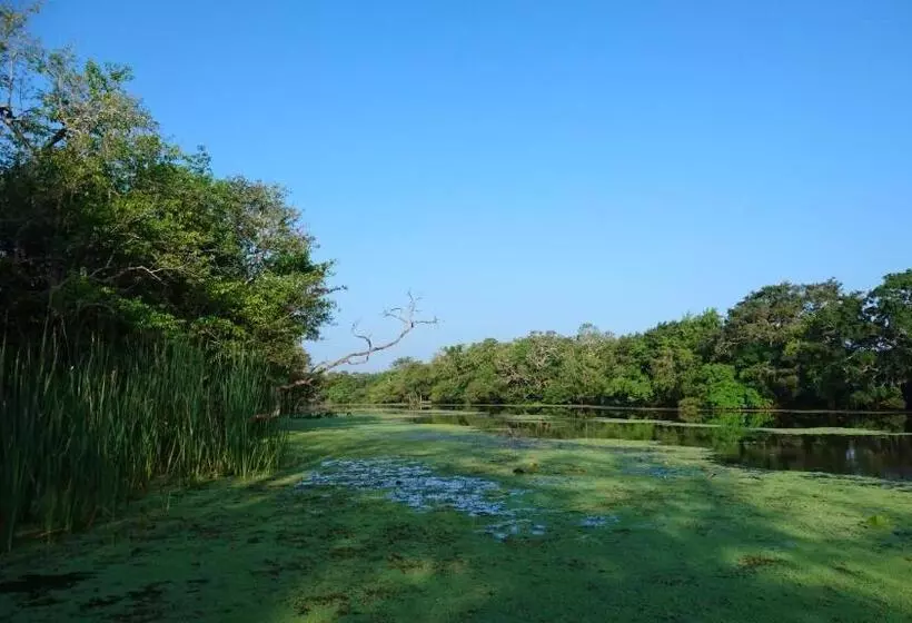 Hotelli The Backwaters Lodge