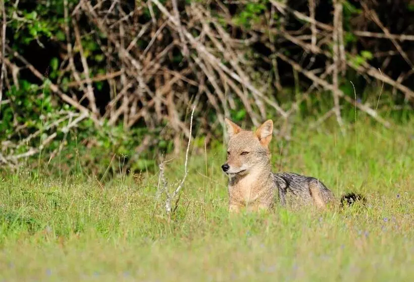 Hotelli The Backwaters Lodge