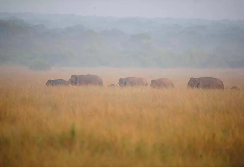 Hotelli The Backwaters Lodge