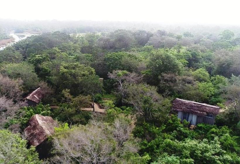 ホテル The Backwaters Lodge