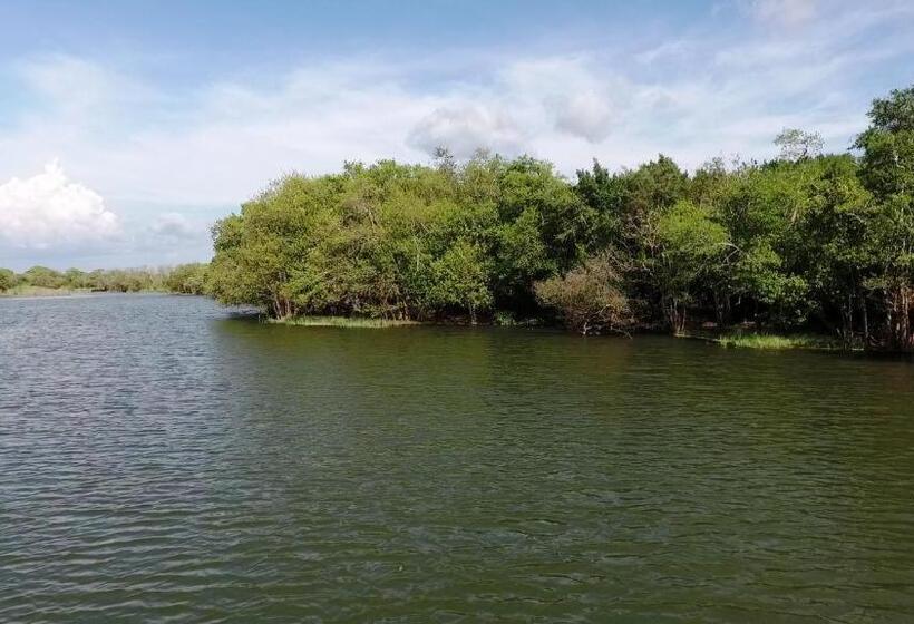 ホテル The Backwaters Lodge