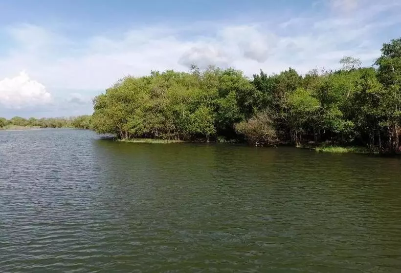 Hotelli The Backwaters Lodge