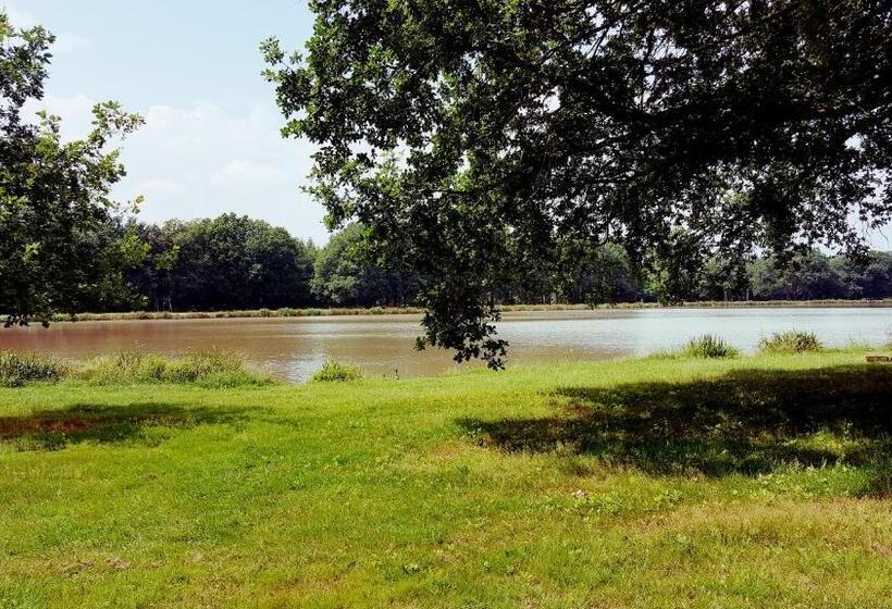 Пансион Auberge De Villechaume