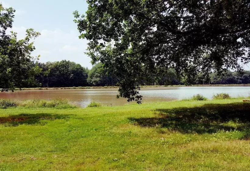 Majatalo Auberge De Villechaume