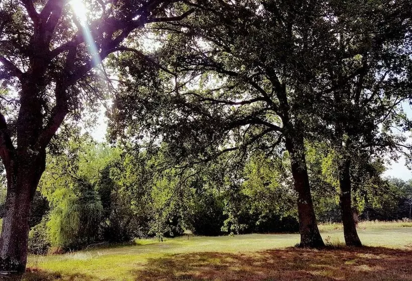 Majatalo Auberge De Villechaume