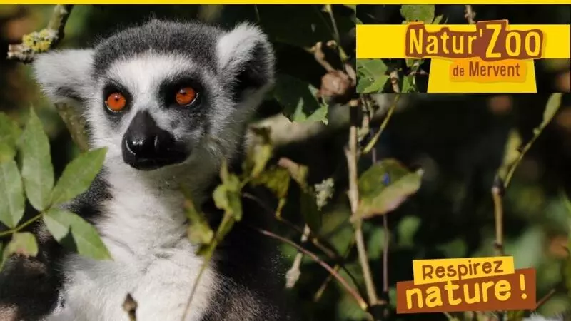 Majatalo Domaine De La Lucarliere