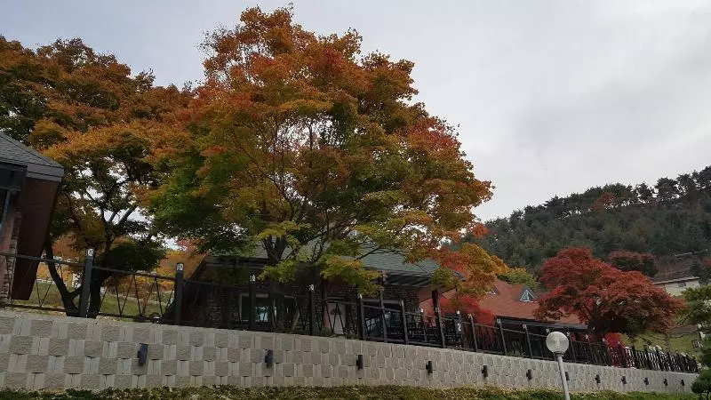 Lomakeskus Nine Valley Park