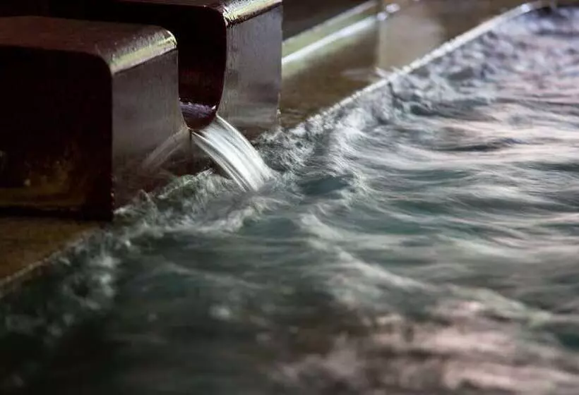 Ryokan Yumeminoyado Kansyokan