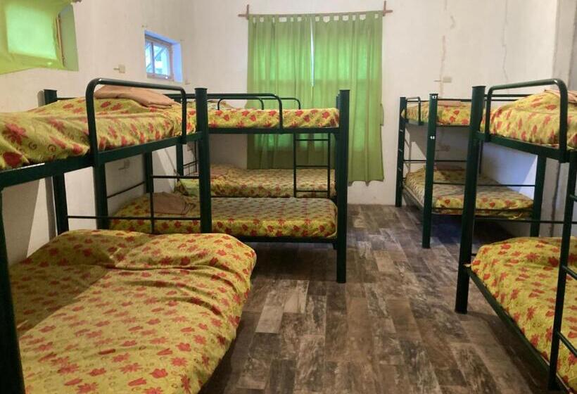 Hostal Bustamante   Hostel