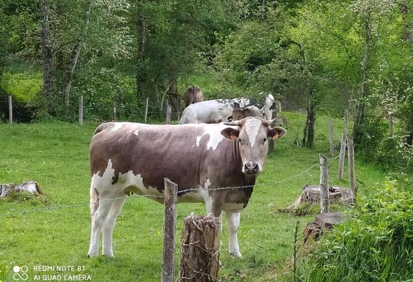 مبيت وإفطار La Chaussee D Olivet En Mayenne
