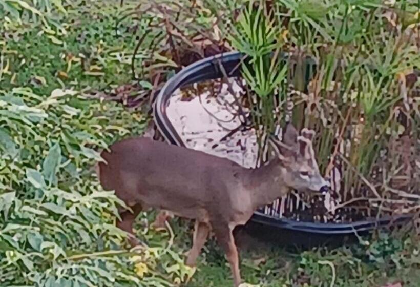 مبيت وإفطار La Chaussee D Olivet En Mayenne