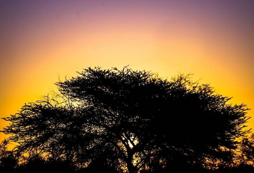 Отель Dhora Desert Resort & Spa By Eight Continents