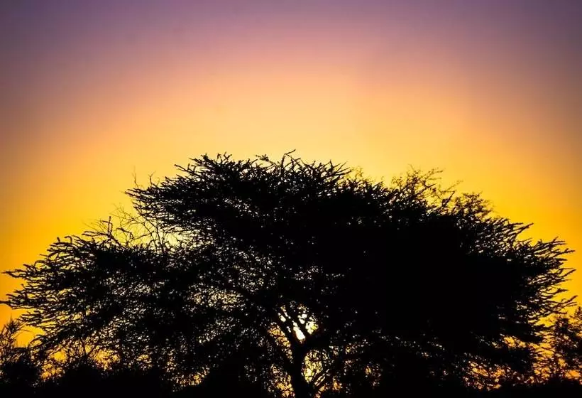 ホテル Dhora Desert Resort & Spa By Eight Continents