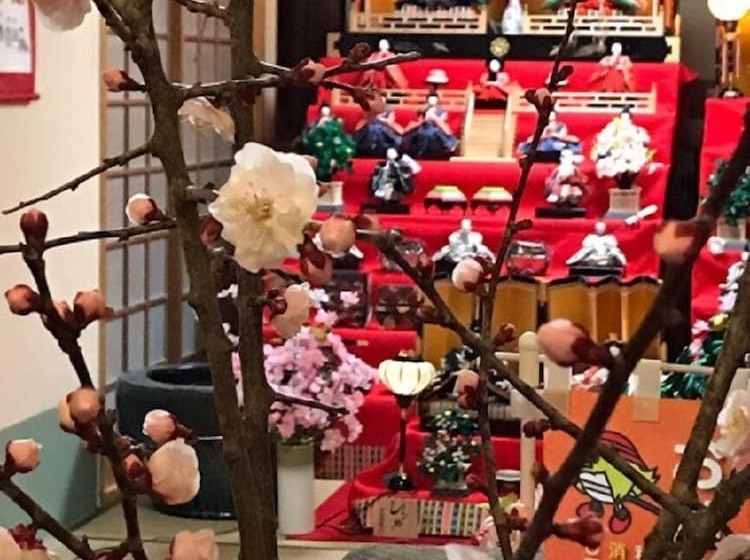 ריוקאן Seikaso