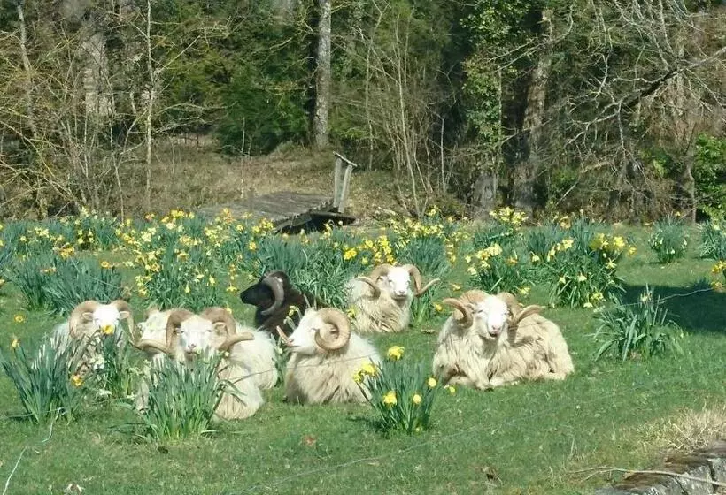 ベッドアンドブレックファースト Château Du Bourbet