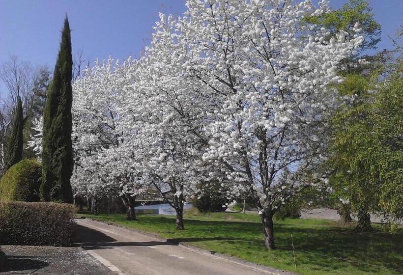 住宿加早餐  Château Du Bourbet