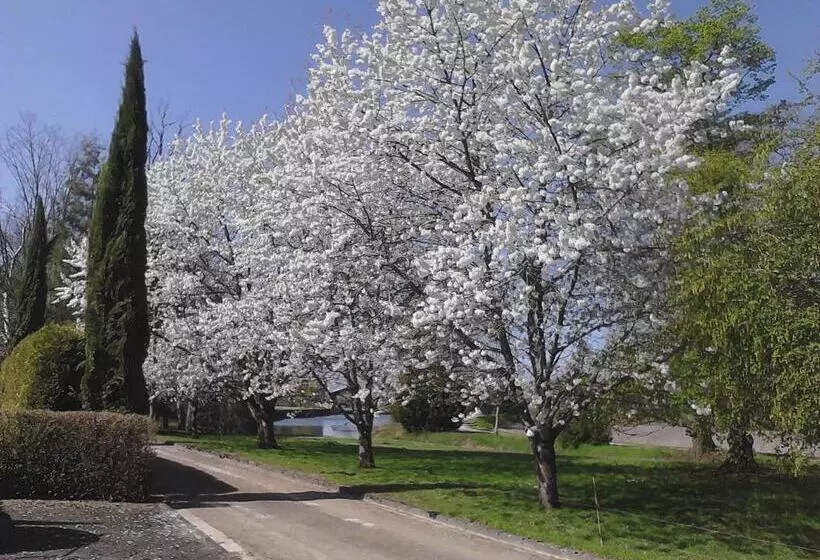 ベッドアンドブレックファースト Château Du Bourbet