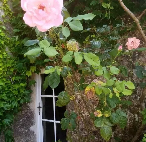 Aamiaismajoitus (B&B) Chambres D Hôtes Domaine Du Bouchon