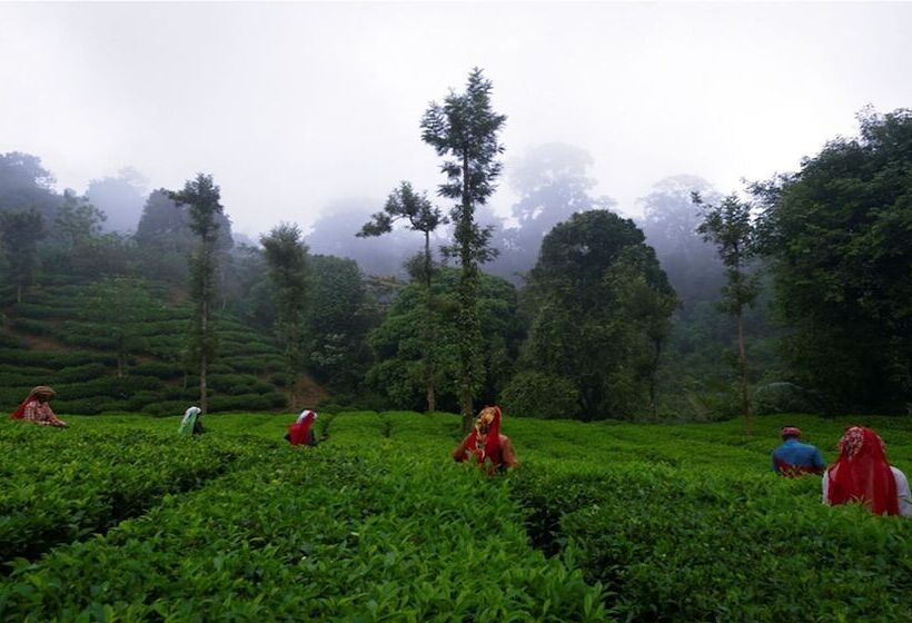 فندق Meenmutty Heights