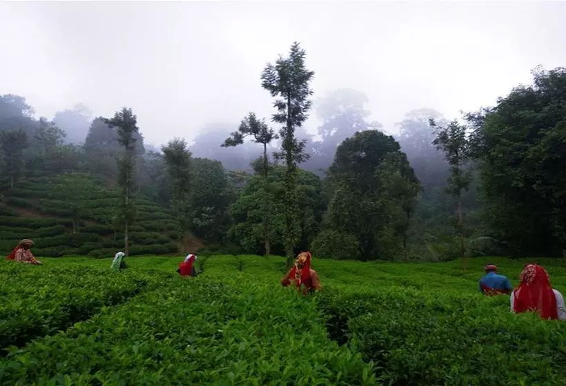 Hotelli Meenmutty Heights