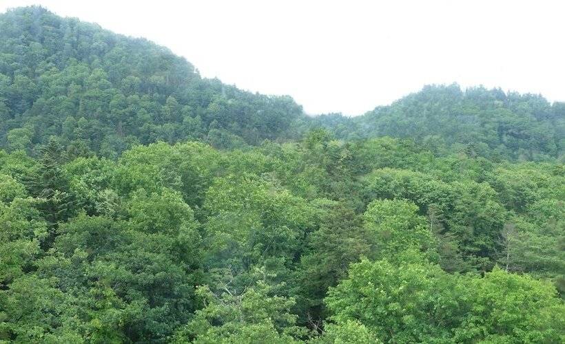 Отель Nukabirakan Kanko