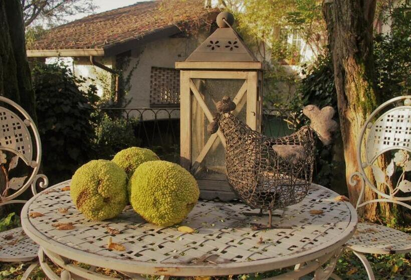 Hotel wiejski La Traversina