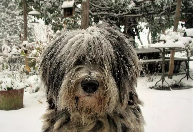 Maaseutuhotelli La Traversina