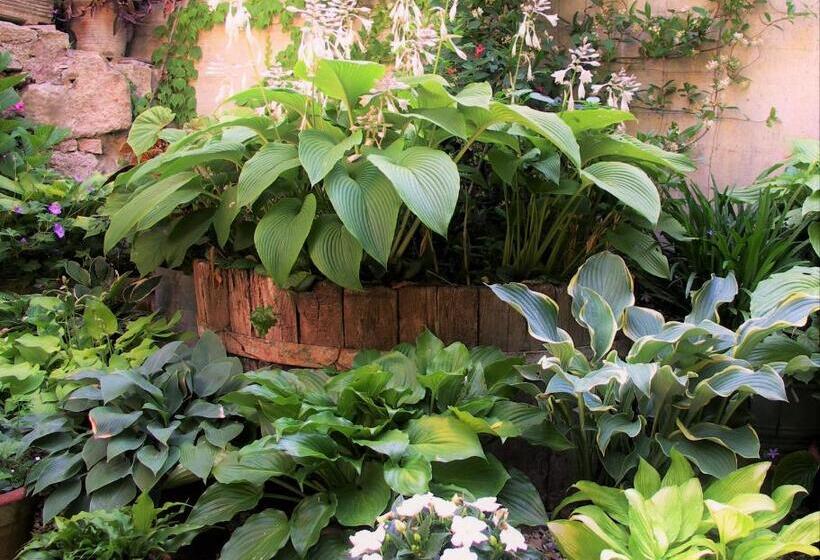 Hotel wiejski La Traversina