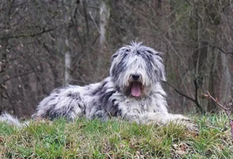 Maaseutuhotelli La Traversina