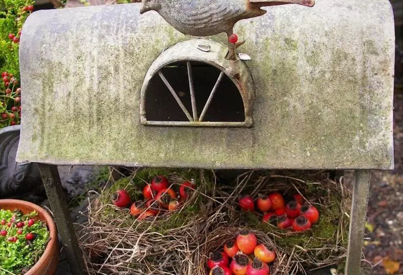 Maaseutuhotelli La Traversina