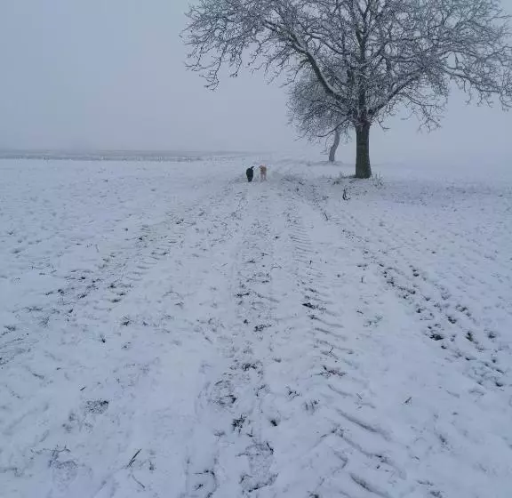 Majatalo Chambres D Hôtes Chez Loulou Et Caramel