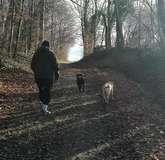 Majatalo Chambres D Hôtes Chez Loulou Et Caramel