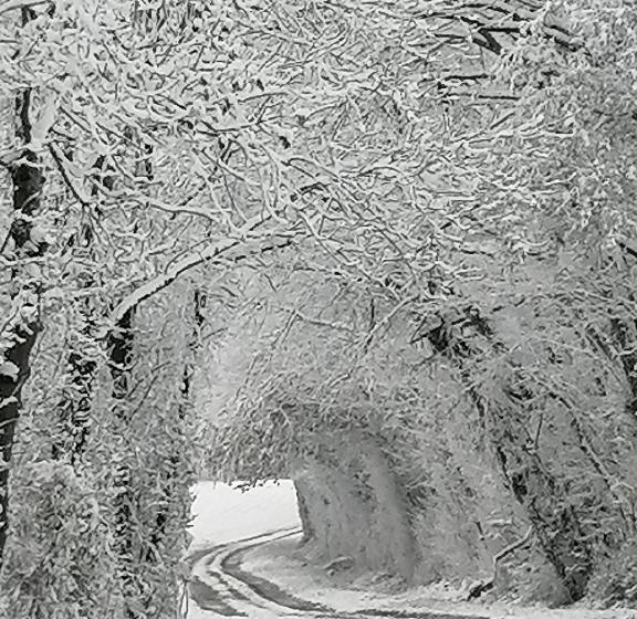 بنسيون Chambres D Hôtes Chez Loulou Et Caramel