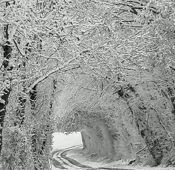 Majatalo Chambres D Hôtes Chez Loulou Et Caramel