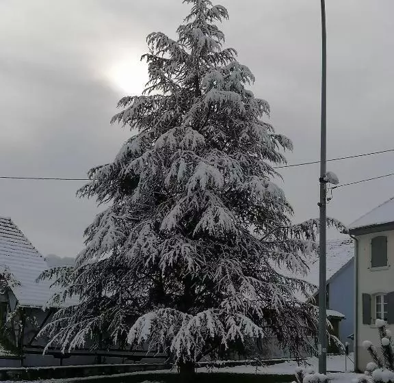 Majatalo Chambres D Hôtes Chez Loulou Et Caramel