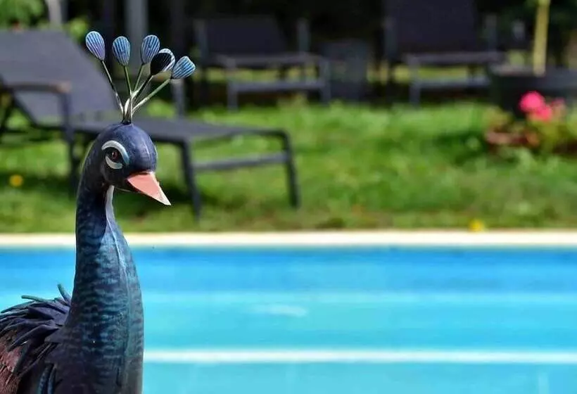 Majatalo L'amarre Aux Anges