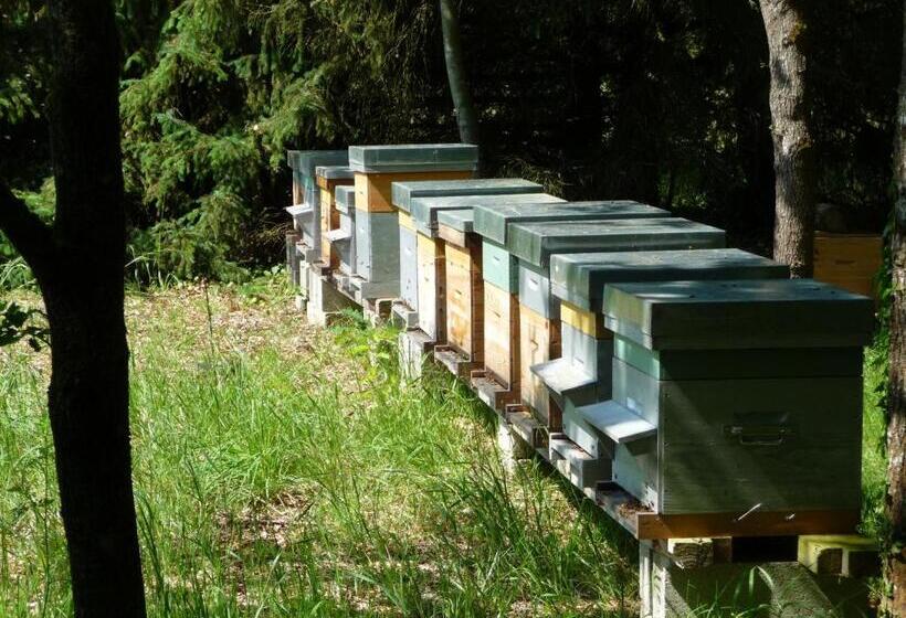 ベッドアンドブレックファースト La Blinerie