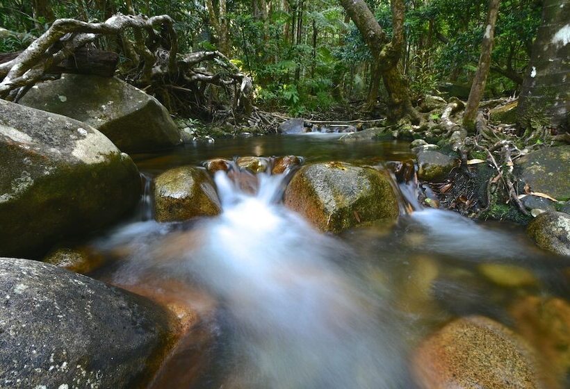 Daintree Cascades