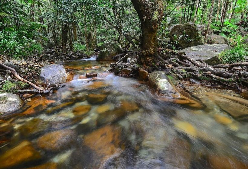 Daintree Cascades